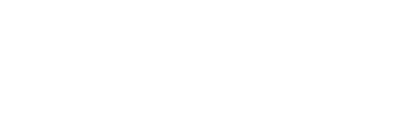 logo_dlr_footer.png 